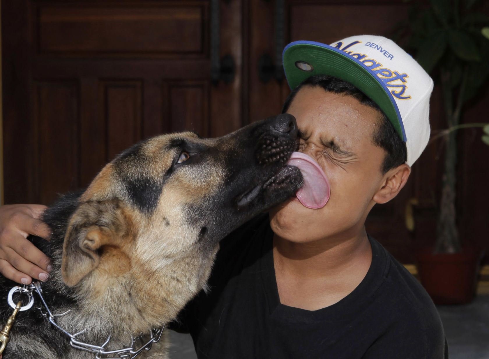 Pets microchip